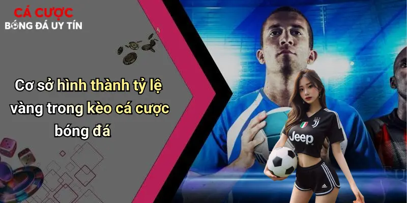 Tỷ Lệ Vàng Trong Cá Cược Bóng Đá: Chiến Lược Để Đặt Cược Thành Công 2 Cơ sở hình thành tỷ lệ vàng trong kèo cá cược bóng đá