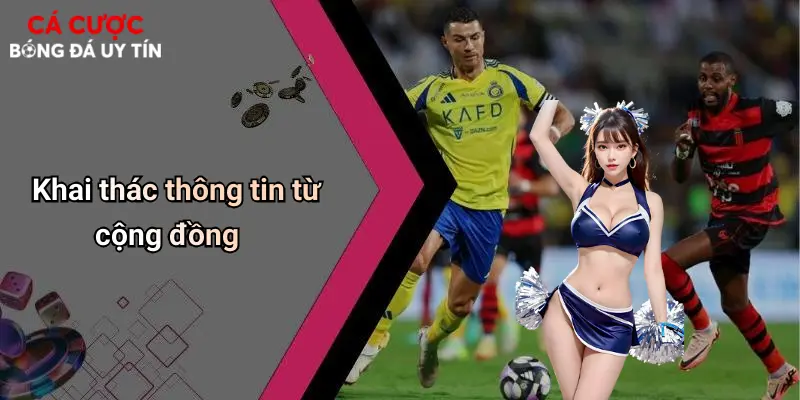 Ván Cược Định Mệnh Trong Bóng Đá: Cơ May Lật Ngược Cuộc Chơi 4 Khai thác thông tin từ cộng đồng