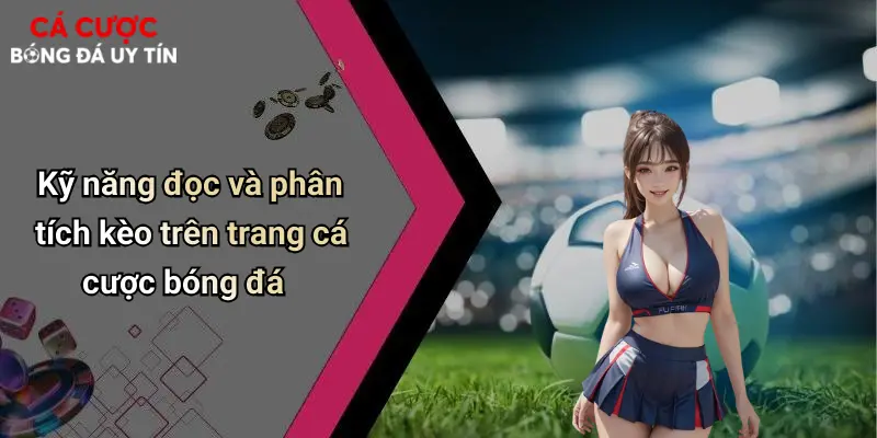 Cá Cược Bóng Đá: Thế Giới Giải Trí Sôi Động Và Lưu Ý Khi Chơi 71 Kỹ năng đọc và phân tích kèo trên trang cá cược bóng đá