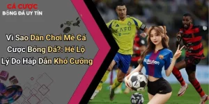 Vì Sao Dân Chơi Mê Cá Cược Bóng Đá?: Hé Lộ Lý Do Hấp Dẫn Khó Cưỡng