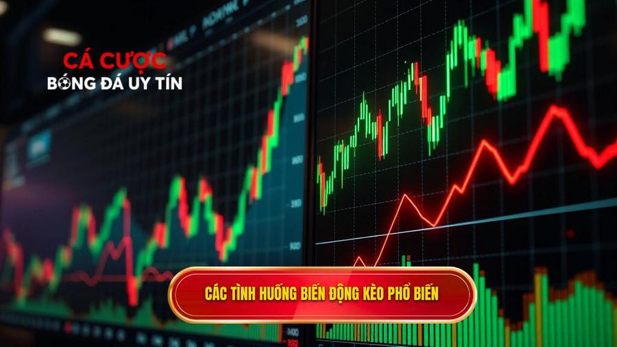 Phân loại các tình huống biến động kèo thường gặp